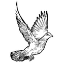 THE CITY logo